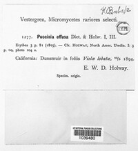 Image Associated With the Occurence